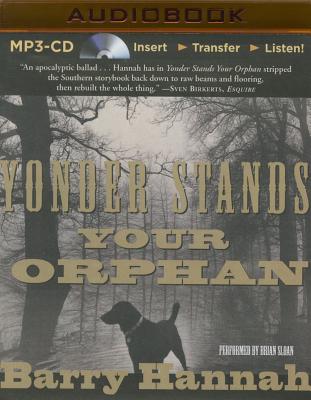 Cover for Yonder Stands Your Orphan
