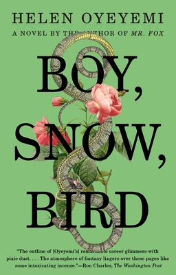 Cover Image for Boy, Snow, Bird