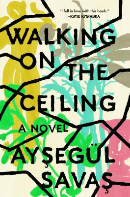 Walking on the Ceiling: A Novel Cover Image