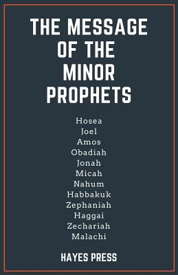 The Message of the Minor Prophets Cover Image
