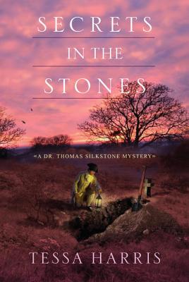 Cover for Secrets in the Stones (Dr. Thomas Silkstone Mystery #6)