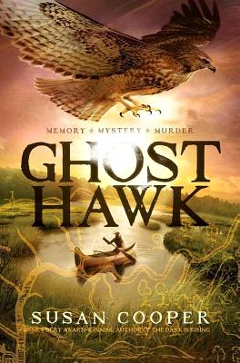 Ghost Hawk (Hardcover)