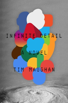 Infinite Detail: A Novel Cover Image