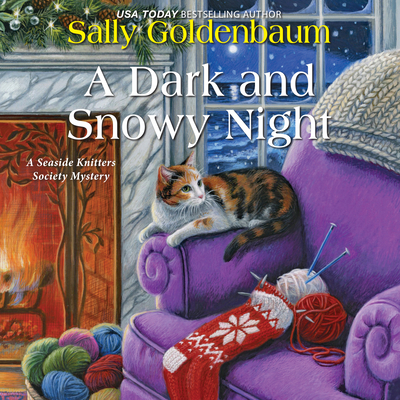 A Dark and Snowy Night By Sally Goldenbaum, Julie McKay (Read by) Cover Image
