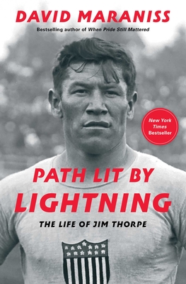 Cover for Path Lit by Lightning