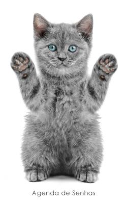 Agenda de Senhas: Agenda para endereços eletrônicos e senhas: Capa gatinho brincalhão - Português (Brasil) By Agendas E. Cadernos Cover Image