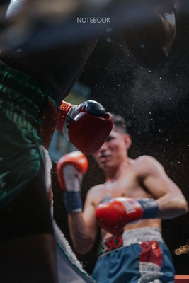 Notebook: Boxing (Sports #14) By Marin Brouwers Cover Image