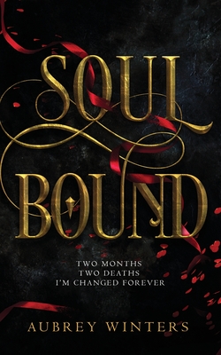 Soul Bound: The Shadow World Book 2 Cover Image
