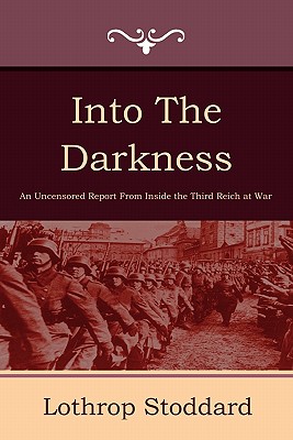 Into the Darkness Cover Image