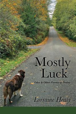 Cover for Mostly Luck
