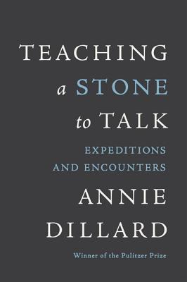 Teaching a Stone to Talk: Expeditions and Encounters Cover Image