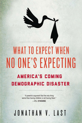 Cover for What to Expect When No One's Expecting