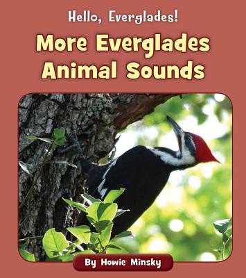 More Everglades Animal Sounds (Paperback) | Barrett Bookstore