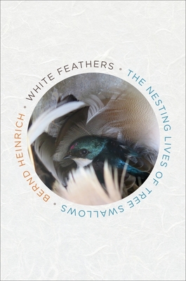 White Feathers: The Nesting Lives of Tree Swallows By Bernd Heinrich Cover Image