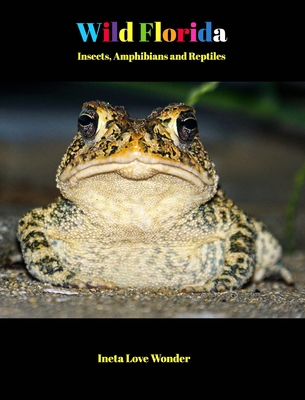 Wild Florida: Insects, Amphibians and Reptiles Cover Image