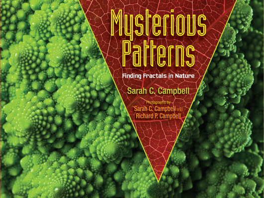Mysterious Patterns: Finding Fractals in Nature