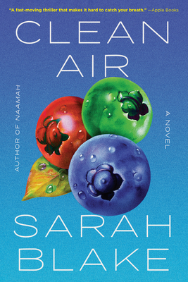 Clean Air By Sarah Blake Cover Image