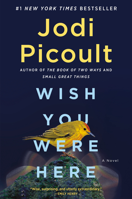 Wish You Were Here: A Novel cover