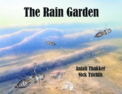 The Rain Garden By Anjali Thakker, Nick Tsichlis Cover Image