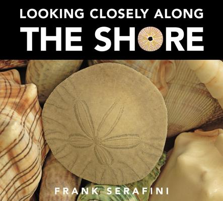 Looking Closely Along the Shore Cover