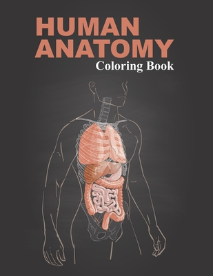 Download Human Anatomy Coloring Book An Inexpensive Workbook Which Supplements Human Anatomy Paperback Sundog Books