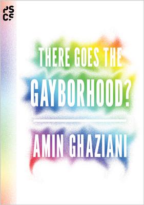 There Goes the Gayborhood? (Princeton Studies in Cultural Sociology #68)