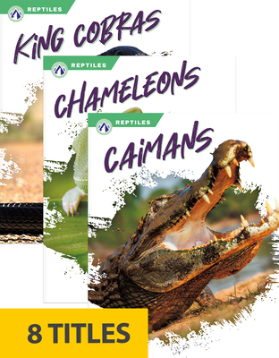 Reptiles (Set of 8) By Various Cover Image