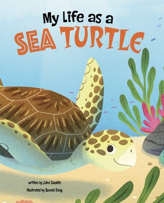 My Life as a Sea Turtle By John Sazaklis, Bonnie Pang (Illustrator) Cover Image