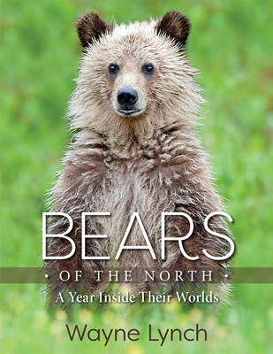Bears of the North: A Year Inside Their Worlds Cover Image