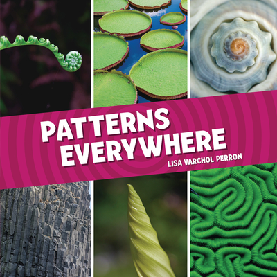 Patterns Everywhere By Lisa Varchol Perron Cover Image