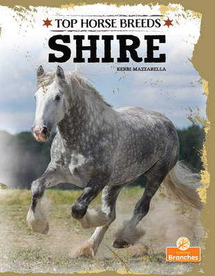 Shire Cover Image
