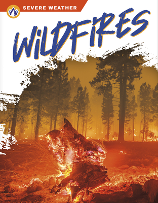 Wildfires By Candice Ransom Cover Image