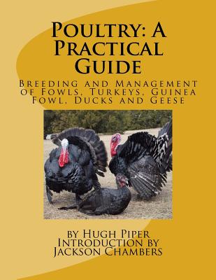 Poultry: A Practical Guide: Breeding and Management of Fowls, Turkeys, Guinea Fowl, Ducks and Geese