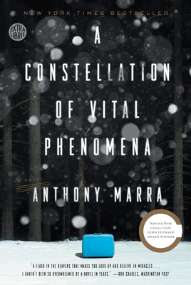 A Constellation of Vital Phenomena: A Novel Cover Image
