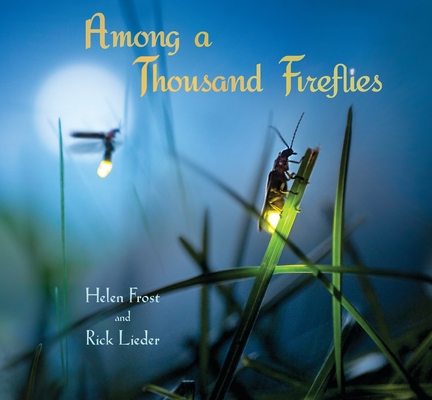 Among a Thousand Fireflies By Helen Frost, Rick Lieder (Illustrator) Cover Image
