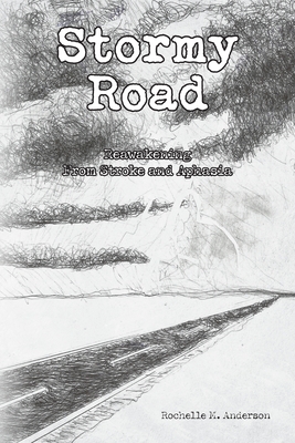 Stormy Road: Reawakening From Stroke and Aphasia By Rochelle M. Anderson Cover Image