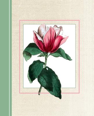 Vintage Magnolia Flower: Diary Weekly Spreads January to December  (Paperback) | An Unlikely Story Bookstore & Café