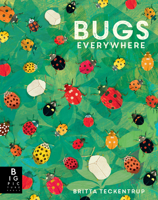 Bugs Everywhere By Lily Murray, Britta Teckentrup (Illustrator) Cover Image