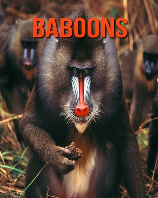 Baboons: Incredible Pictures and Fun Facts about Baboons (Paperback) |  Hooked