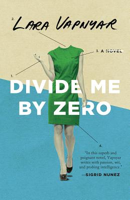 Divide Me By Zero Cover Image