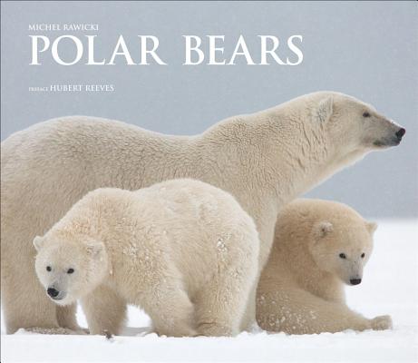 Polar Bears: A Life Under Threat