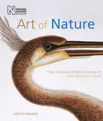 Art of Nature: Three Centuries of Natural History Art from Around the World By Judith Magee Cover Image