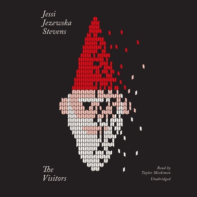 The Visitors By Jessi Jezewska Stevens, Taylor Meskimen (Read by) Cover Image