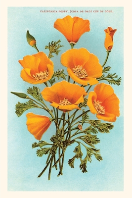 The Vintage Journal California Poppies By Found Image Press (Producer) Cover Image