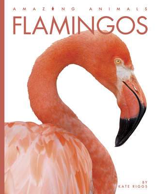 Flamingos (Amazing Animals) (Library Binding) | Hooked
