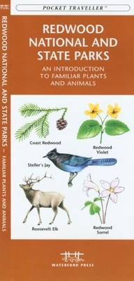 Gulf Coast Seashore Life: An Introduction to Familiar Plants and Animals (Pocket Naturalist Guides) By James Kavanagh, Waterford Press, Raymond Leung (Illustrator) Cover Image