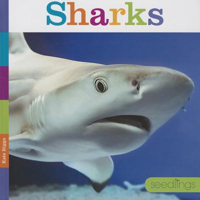 Sharks (Seedlings) Cover Image