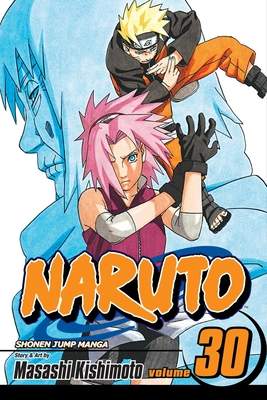 Naruto, Vol. 53: The Birth of Naruto by Kishimoto, Masashi