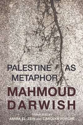 Palestine as Metaphor Cover Image