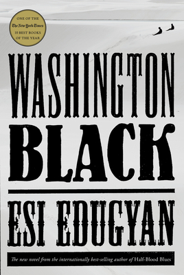 Cover Image for Washington Black: A novel